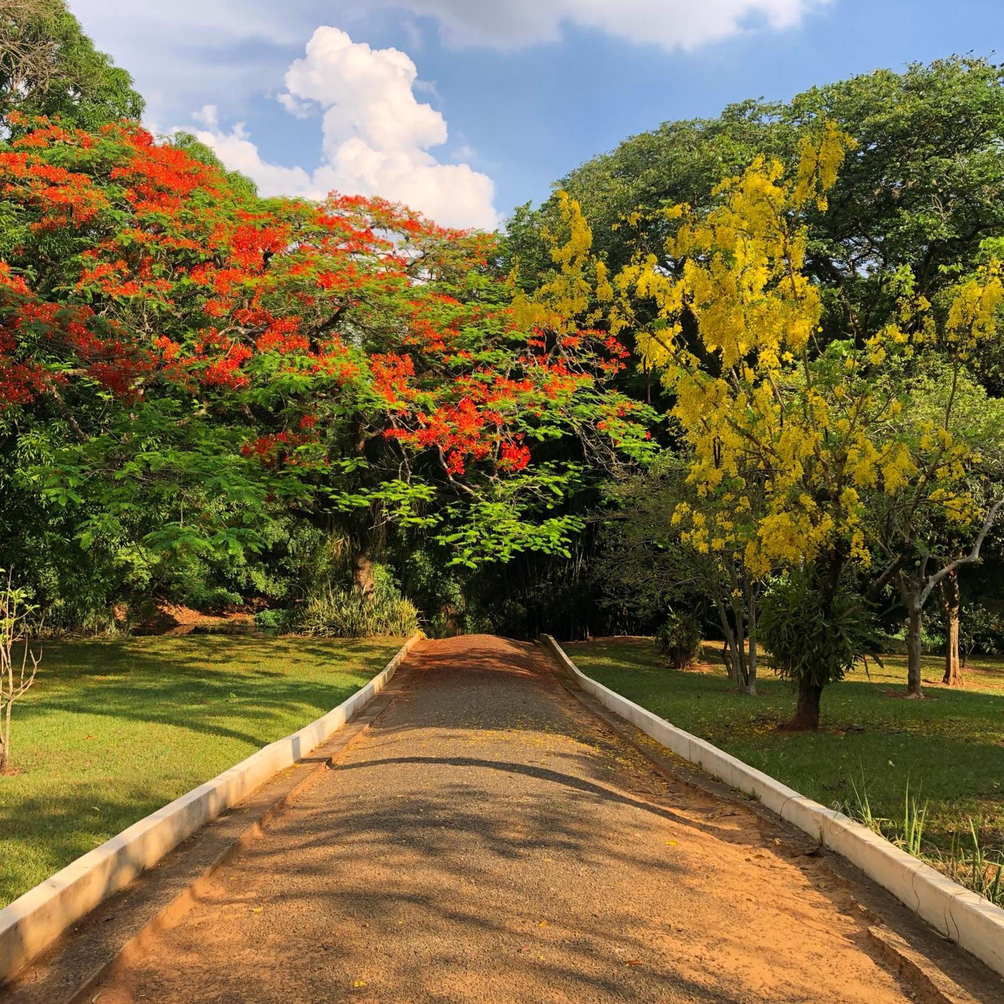 Chacara Paradisiaca As Margens Do Rio Jaguari Jaguariuna